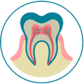 endodoncia